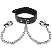 Кляпы, ошейники серебристый