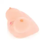 Вагины и мастурбаторы