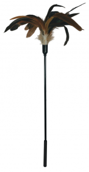 Бдсм и фетиш коричневый