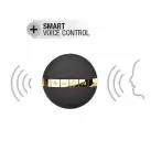 Виброяйцо Dorcel Secret Delight Gold photo 5